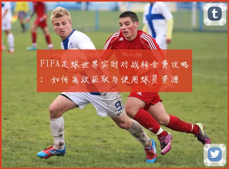 FIFA足球世界实时对战转会费攻略:如何高效获取与使用球员资源