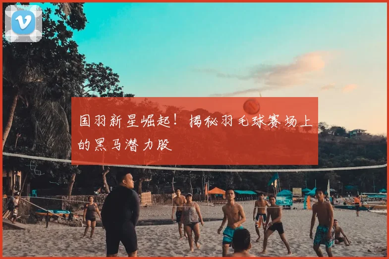 国羽新星崛起！揭秘羽毛球赛场上的黑马潜力股