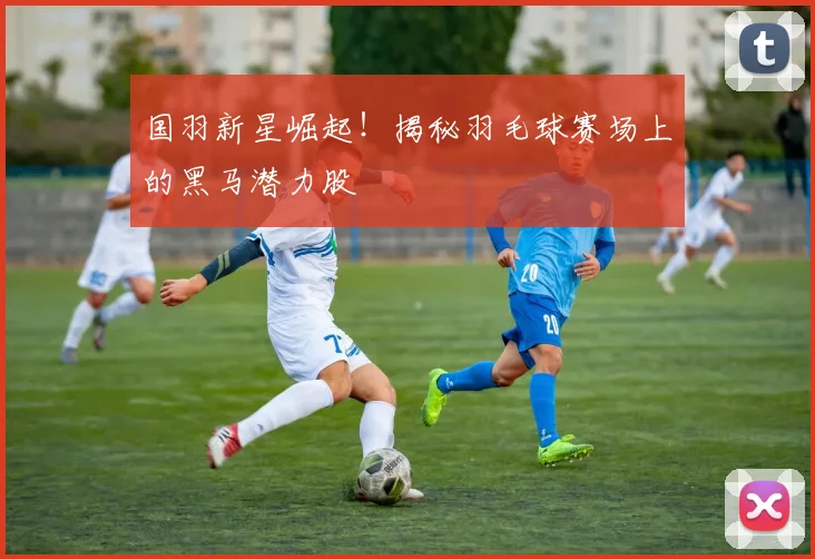 国羽新星崛起!揭秘羽毛球赛场上的黑马潜力股