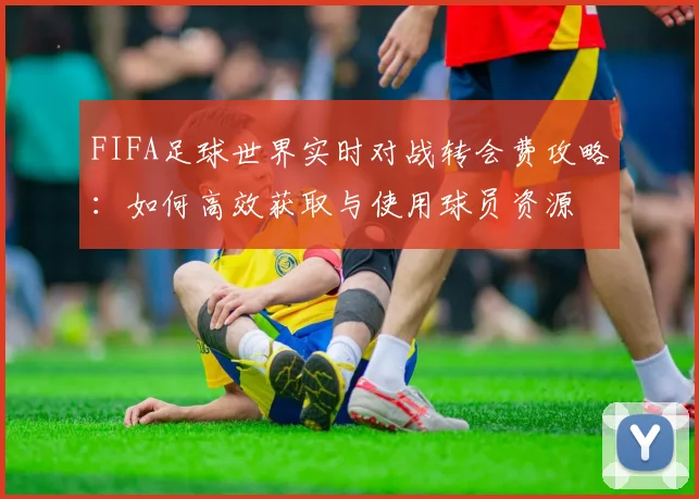 FIFA足球世界实时对战转会费攻略:如何高效获取与使用球员资源